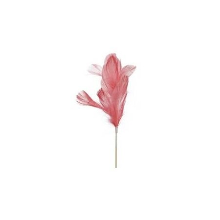 PIUME ROSA 20cm 12pz