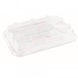 COPERCHIO MEDIO PET RETTANGOLARE 35x24xh.8 25pz