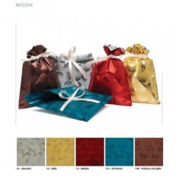 BUSTE REGALO P.P.L. 25X40  cm MOON ASS.TO 100PZ