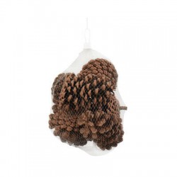 PIGNA NATURALE 6pz