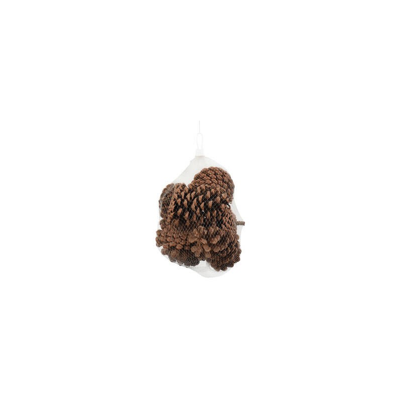 PIGNA NATURALE 6pz