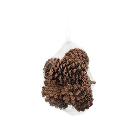PIGNA NATURALE 6pz