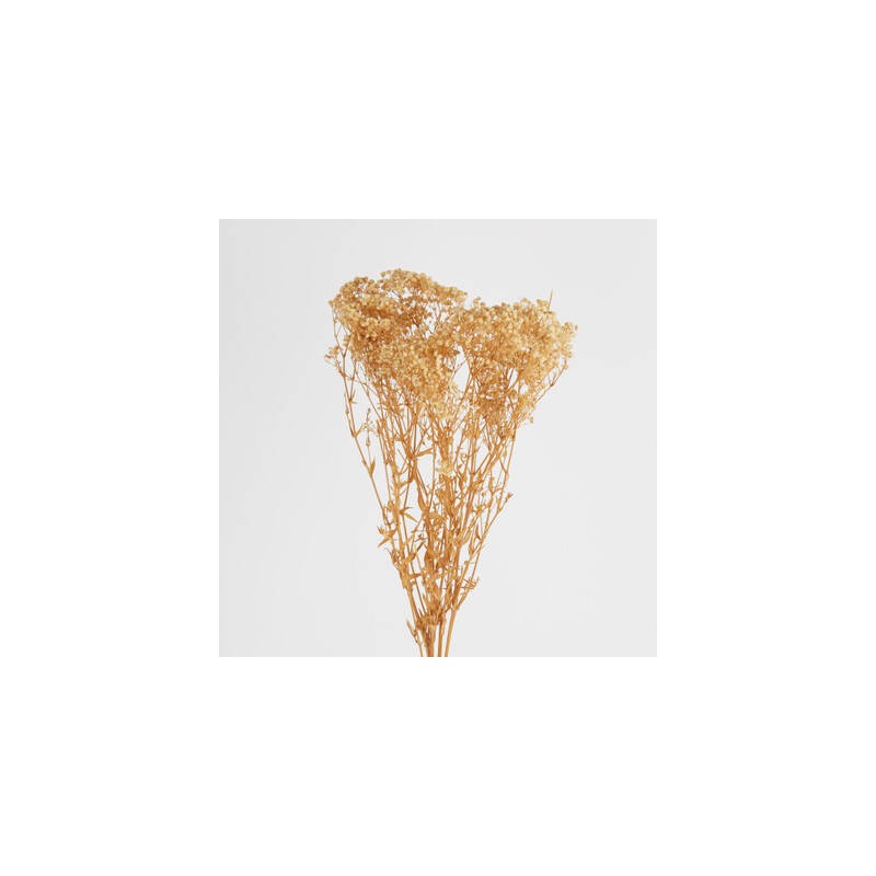 GYPSOPHILA NATURALE 110gr 80cm