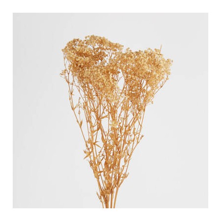 GYPSOPHILA NATURALE 110gr 80cm