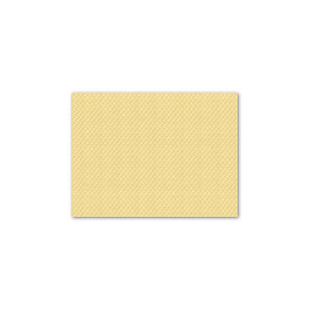 TOVAGLIETTE 30x40cm CARTA CHAMPAGNE 250PZ FATO