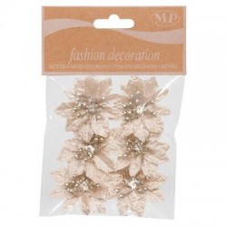 FIORE STELLA DI NATALE ø5cm CHAMPOAGNE 6pz