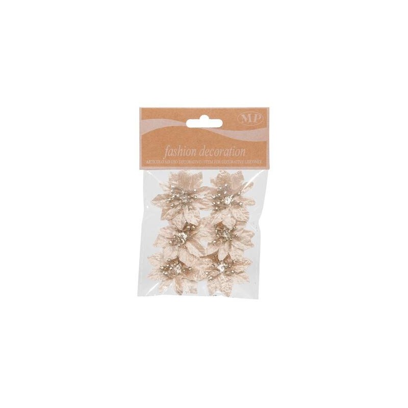 FIORE STELLA DI NATALE ø5cm CHAMPOAGNE 6pz