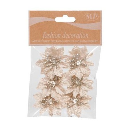 FIORE STELLA DI NATALE ø5cm CHAMPOAGNE 6pz