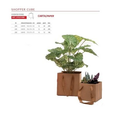 SHOPPER CARTA CUBE 220gr 12X12+12cm KRAFT