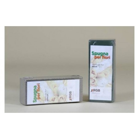 SPUGNA PER FIORI RETTANGOLARE EDEN DRY (SECCO) 25x10x8cm