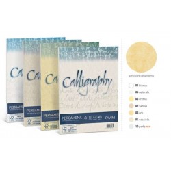CARTA A4 PERGAMENA 190gr RISMA 50fg NATURALE 06