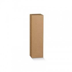 SCATOLA 1 BOTTIGLIA SICURA 10x10x38cm AVANA 10pz