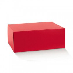 SCATOLA MARMOTTA NEW 40x40x19,5cm FIBRA ROSSO