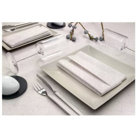 TOVAGLIOLI AIRLAID 40x40cm ETNIC POLVERE 50pz FATO