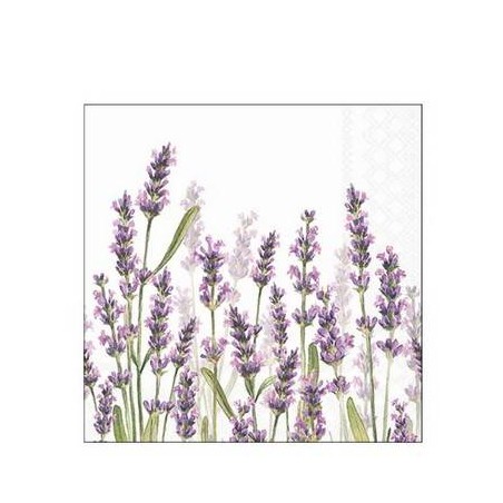 TOVAGLIOLI 25x25 LAVANDA SHADES BIANCO 20pz