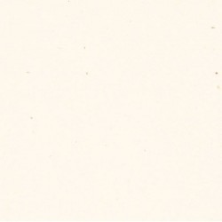 CARTA A4 21x29,7cm FLORA BEIGE gr.130 25fg