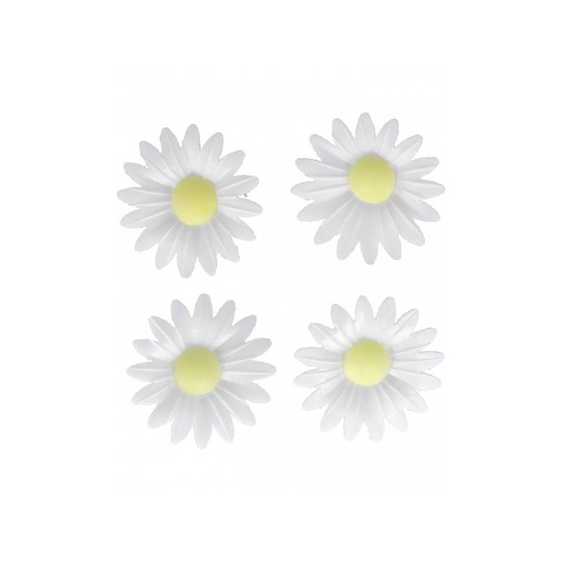 MARGHERITA IN CIALDA 4pz BIANCA