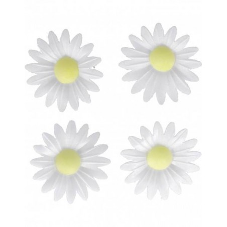 MARGHERITA IN CIALDA 4pz BIANCA