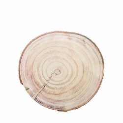DISCO LEGNO ø31cm