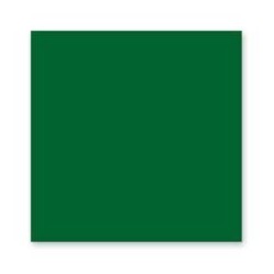 TOVAGLIOLI AIRLAID AARON 40x40 VERDE FORESTA 50pz