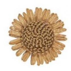 SUNFLOWER Ø5,5cm CREAM 6pz