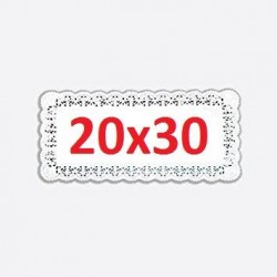 PIZZO PORCELLANATO RETTANGOLARE 20x30 10pz