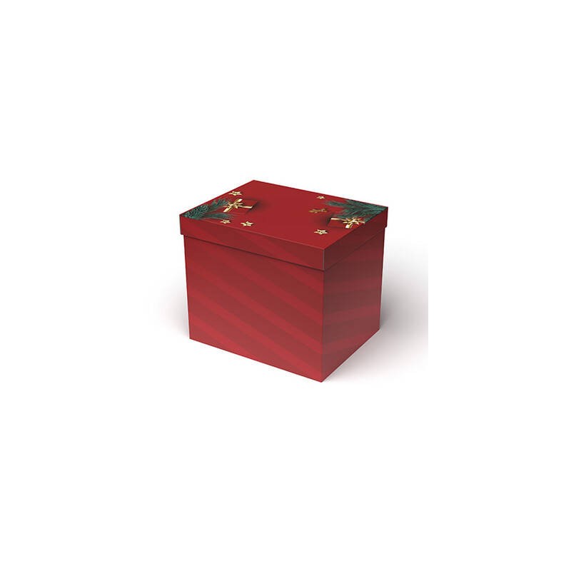 SCATOLA F/COPERCHIO 800 15x15x22cm PORTATA 3kg HOLY SPIRIT