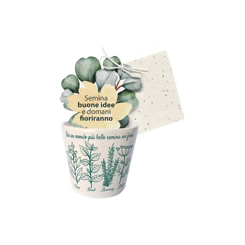 VASETTO PIANTE AROMATICHE CON CARTA PIANTABILE ø7,5x7cm