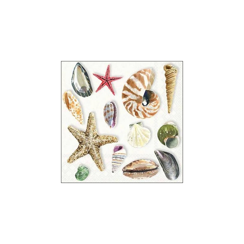 TOVAGLIOLI 33X33 CONCHIGLIE 20pz