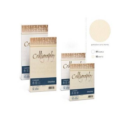 BUSTE CANVAS 11x22 25pz 100gr AVORIO
