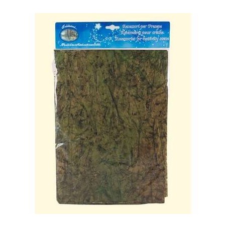 FOGLIO CARTA ROCCIA DIPINTA A MANO 70x100cm in busta