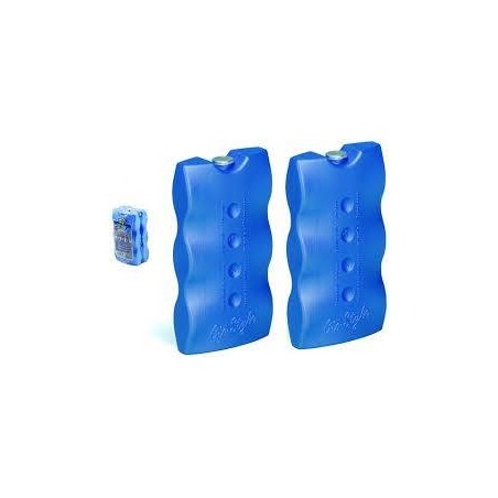 PIASTRA GHIACCIO OLè 2x400gr