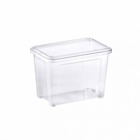 CONTENITORE COMBI BOX TRASP C/COP 37x27x27,8cm TONTARELLI