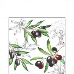 TOVAGLIOLI 25x25 OLIVE 20pz