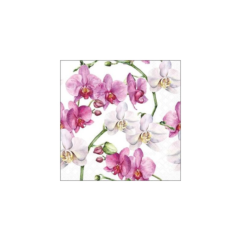 TOVAGLIOLI 33x33 ORCHIDEA BIANCA 20pz