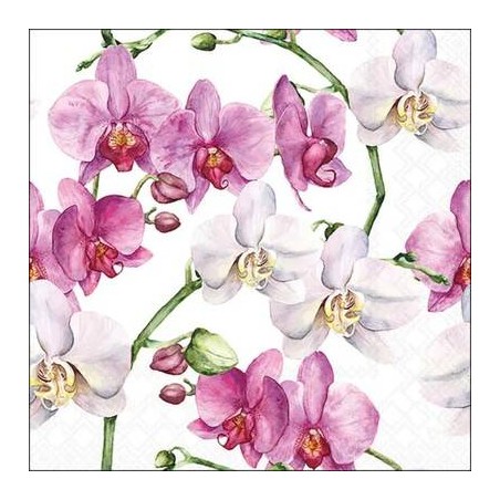 TOVAGLIOLI 33x33 ORCHIDEA BIANCA 20pz