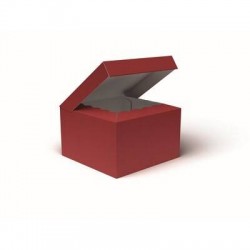 SCATOLA BAULETTO 25x25x15cm ROSSO LISCIA PORTATA 6kg