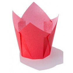 PIROTTINI TULIP 50x50mm H.72mm ROSSO 120pz