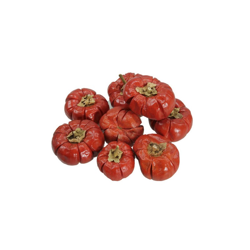 MINI ZUCCHE ASS.TE IN RETINA 100gr