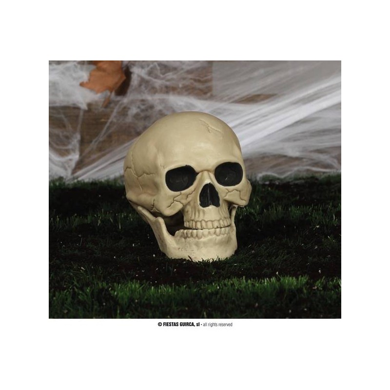 TESCHIO DECORATIVO 20cm