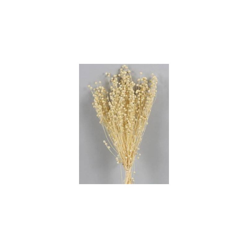 LINO SBIANCATO BUSTA 100gr
