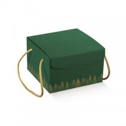 SCATOLA SEGRETO C/COR 21x21x21cm GREEN FOREST