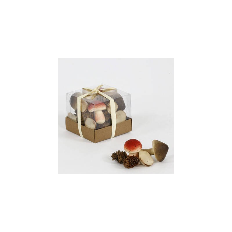 BOX CON FUNGHI E PIGNE 9cm