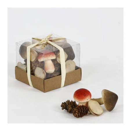 BOX CON FUNGHI E PIGNE 9cm
