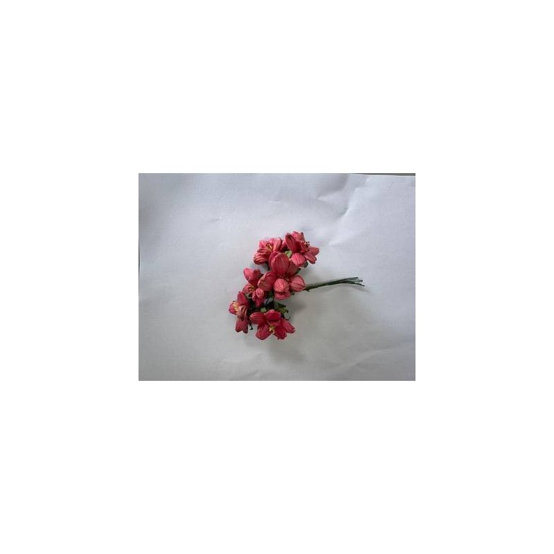 FIORE ROSA MAIS GRANDE ROSA 6pz