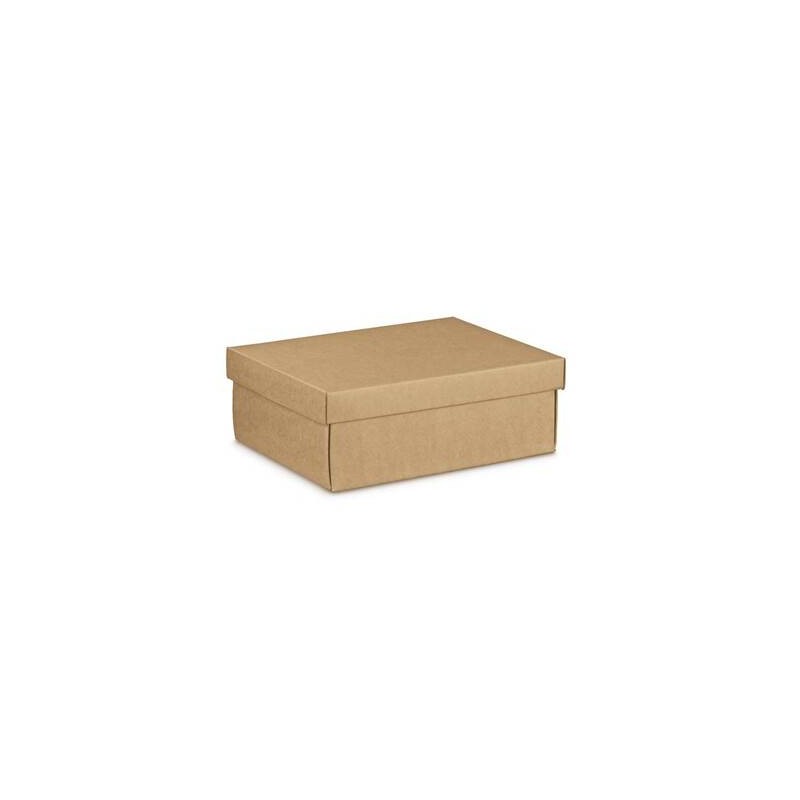 SCATOLA F/COPERCHIO AVANA 38x26x11xcm