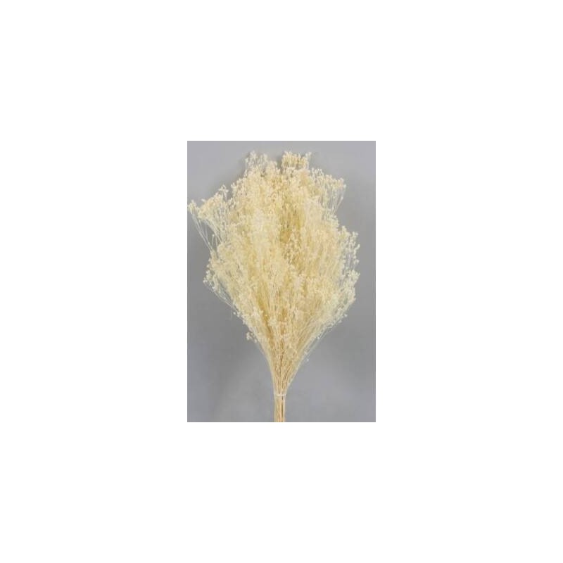 BROOM SBIANCATO BUSTA 100gr