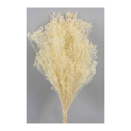 BROOM SBIANCATO BUSTA 100gr