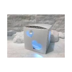 SCATOLA CUORI E LED 10x10x10 GC-0034 5pz