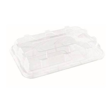 COPERCHIO MEDIO PET RETTANGOLARE 35x24xh.8 25pz